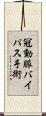 冠動脈バイパス手術 Scroll