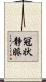 冠状静脈 Scroll