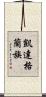 凱達格蘭族 Scroll