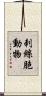 刺絲胞動物 Scroll