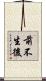 前不生後 Scroll