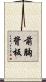 前胸背板 Scroll