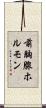 前胸腺ホルモン Scroll