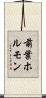 前葉ホルモン Scroll