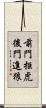 前門拒虎，後門進狼 Scroll