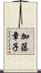 加藤章子 Scroll