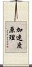 加速度原理 Scroll