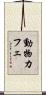 動物カフェ Scroll