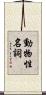 動物性名詞 Scroll