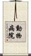 動物病院 Scroll
