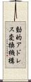 動的アドレス変換機構 Scroll