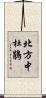 北方中杜鵑 Scroll