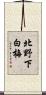 北野下白梅 Scroll