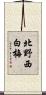 北野西白梅 Scroll