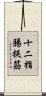 十二指腸提筋 Scroll