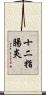 十二指腸炎 Scroll