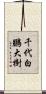 千代白鵬大樹 Scroll