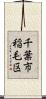 千葉市稲毛区 Scroll