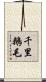 千里鵝毛 Scroll