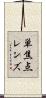 単焦点レンズ Scroll