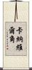 卡納維爾角 Scroll