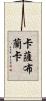 卡薩布蘭卡 Scroll