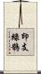 印支綠鵲 Scroll