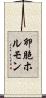 卵胞ホルモン Scroll