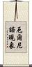 厄爾尼諾現象 Scroll