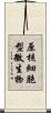 原核細胞型微生物 Scroll