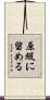 原級に留める Scroll