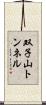 双子山トンネル Scroll