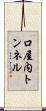 口屋内トンネル Scroll