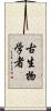 古生物学者 Scroll