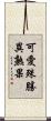 可愛殊勝異熟果 Scroll