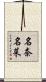 名奈名菜 Scroll