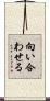 向い合わせる Scroll