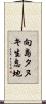 向島タヌキ生息地 Scroll