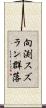 向渕スズラン群落 Scroll