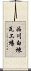 品川白煉瓦工場 Scroll
