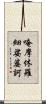 唵摩休羅細娑婆訶 Scroll