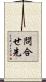 問合せ先 Scroll