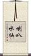 喇叭水仙 Scroll
