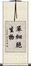 單細胞生物 Scroll