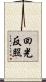 回光反照 Scroll
