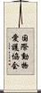 国際動物愛護協会 Scroll