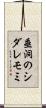 垂洞のシダレモミ Scroll