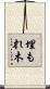 埋もれ木 Scroll