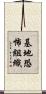 基地恐怖組織 Scroll