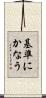 基準にかなう Scroll